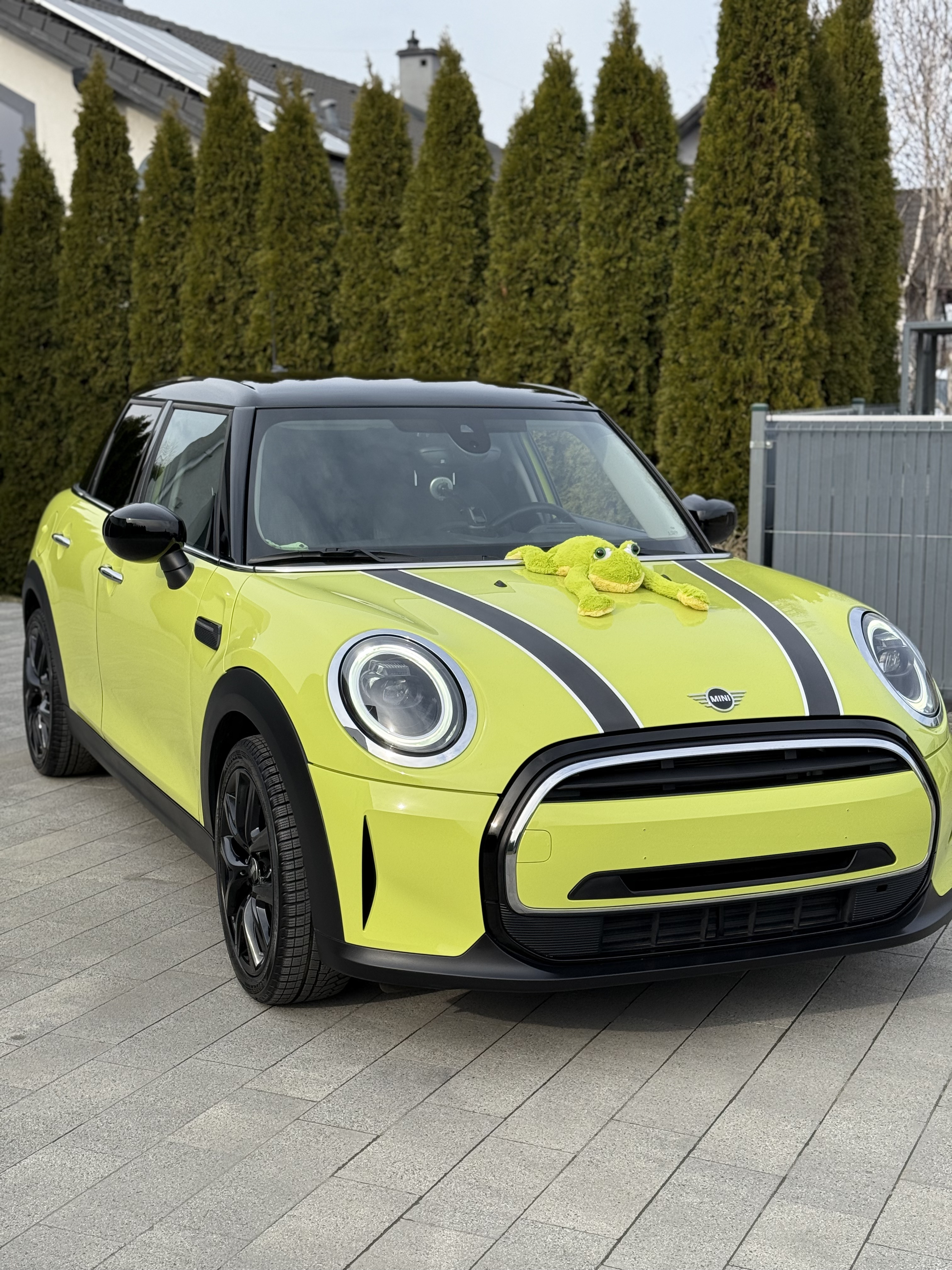 Mini Cooper po detailingu